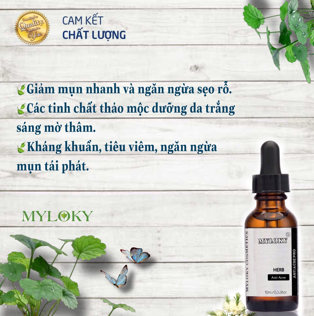 SERUM HỖ TRỢ TRỊ MỤN NHANH 99,9%. NGĂN NGỪA TÁI PHÁT,ANTI ACNES PRO MYLOKY