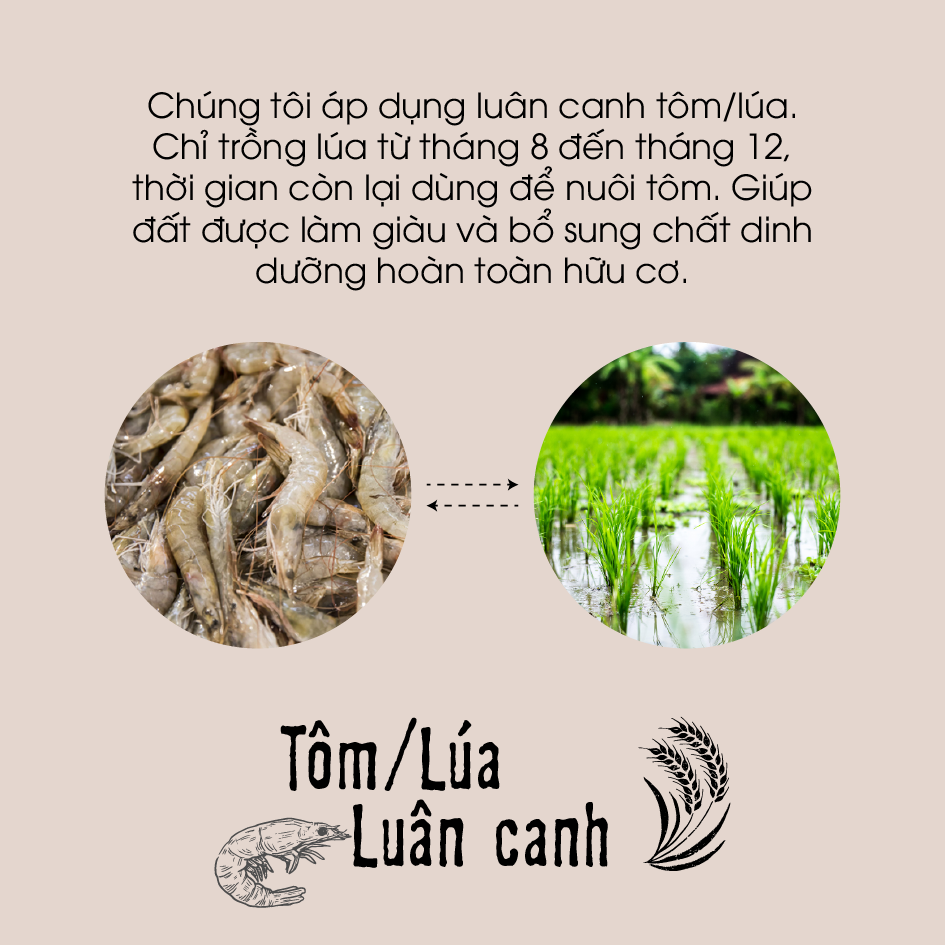 Gạo lứt đen hữu cơ cao cấp/ECOBA Huyền Mễ 1kg - Thơm ngon dẻo ngọt - Thanh lọc cơ thể