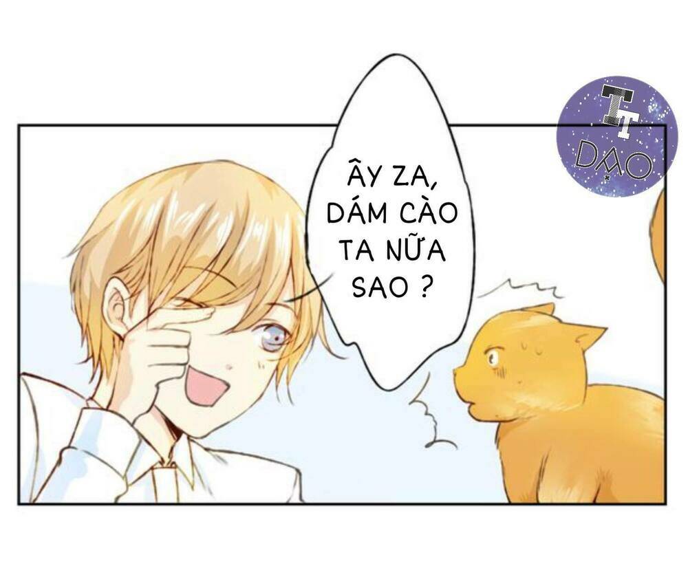 tôi không phải đa nhân cách chapter 12 18