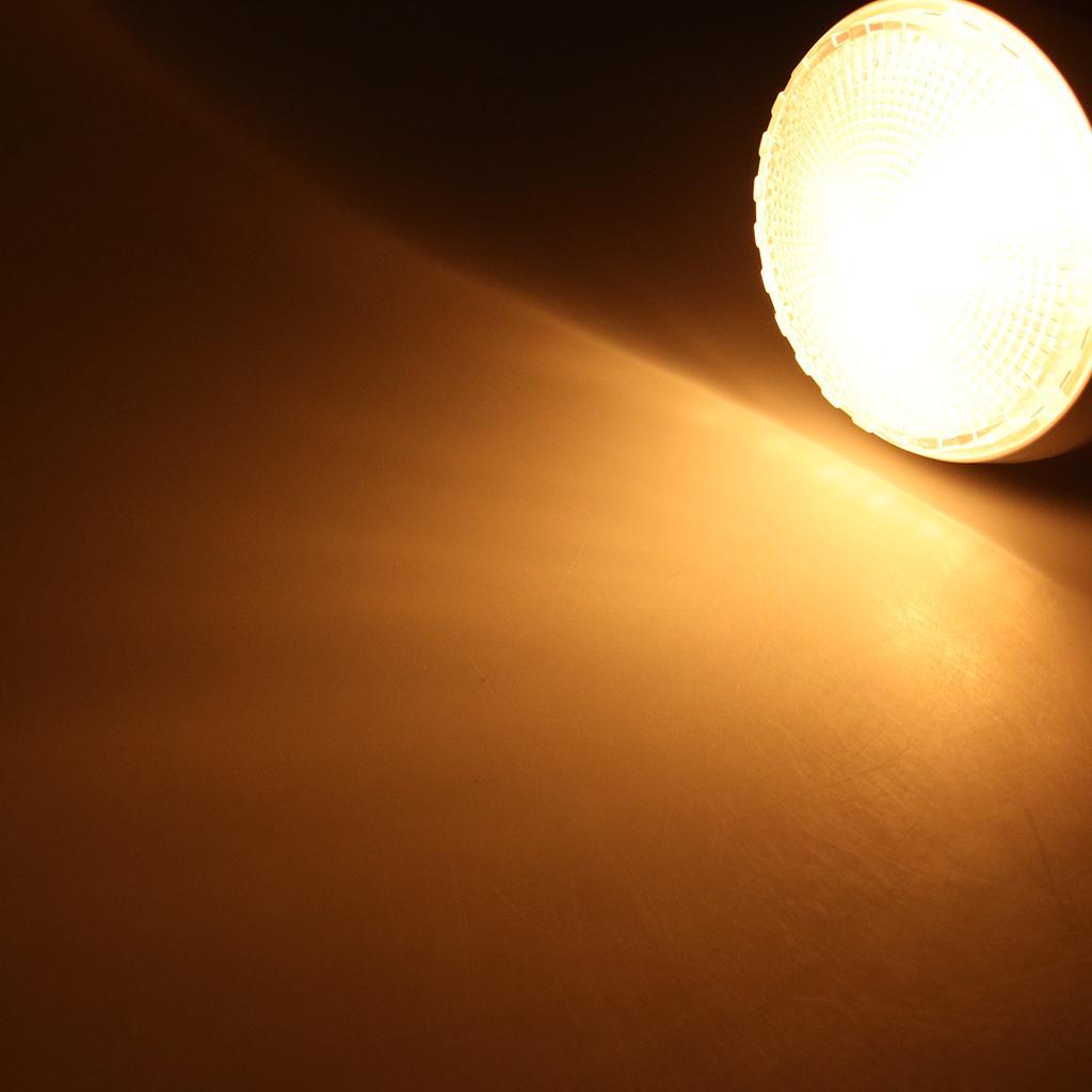 5" LED Round Ceiling Dome Light - ABS  12V 10W