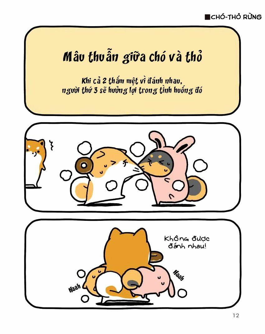 taru shiba chapter 9 13