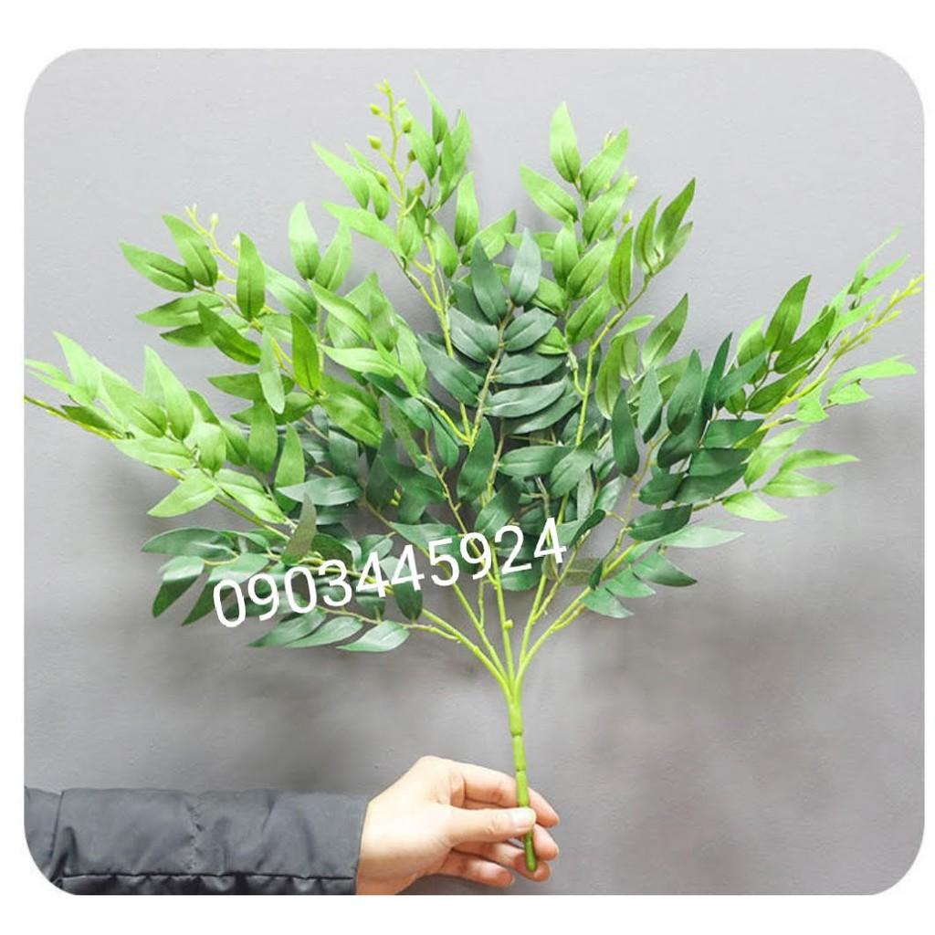Lá Bạch Đàn Trang Trí Cắm Điểm 5 nhánh cao 55 cm