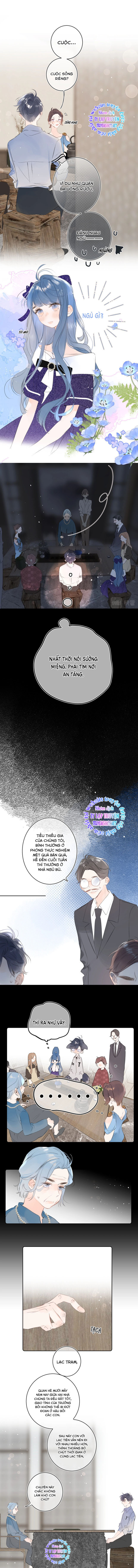 đừng khóc chapter 58 5