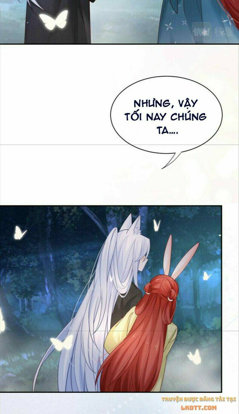 hắc hóa nam chính trực tuyến nuôi thỏ chapter 51 6