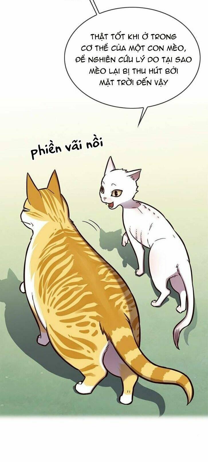 biến thân thành mèo chapter 145 51