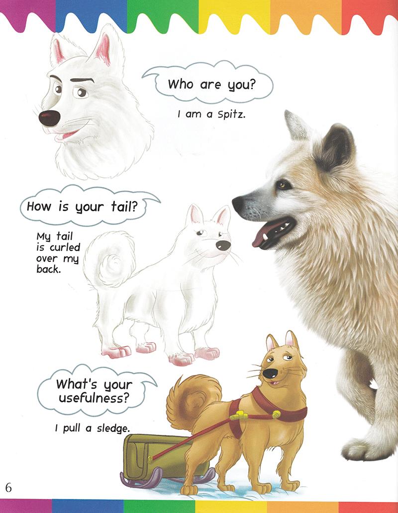 My First Questions &amp; Answers - Dogs
