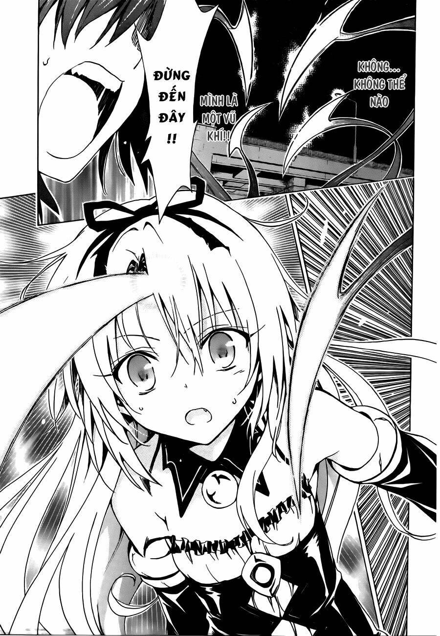 bọn tớ thích cậu! rito 2 - venus chapter 29 15