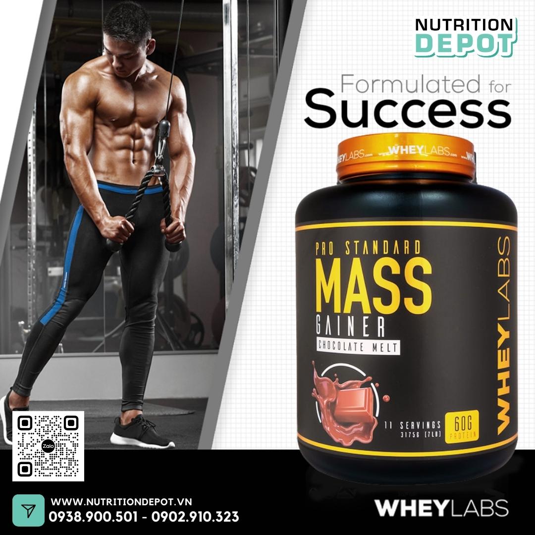 COMBO 2 hũ Sữa tăng cân và tăng cơ Wheylabs Pro Standard Mass 7lbs – Vị Chocolate Melt – TẶNG KÈM 1 wheylabs BCAA 30 lần dùng