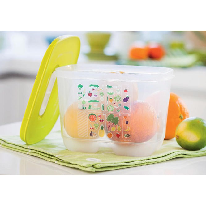 Bộ hộp trữ mát có nút hô hấp Ventsmart 4 hộp TUPPERWARE CHÍNH HÃNG