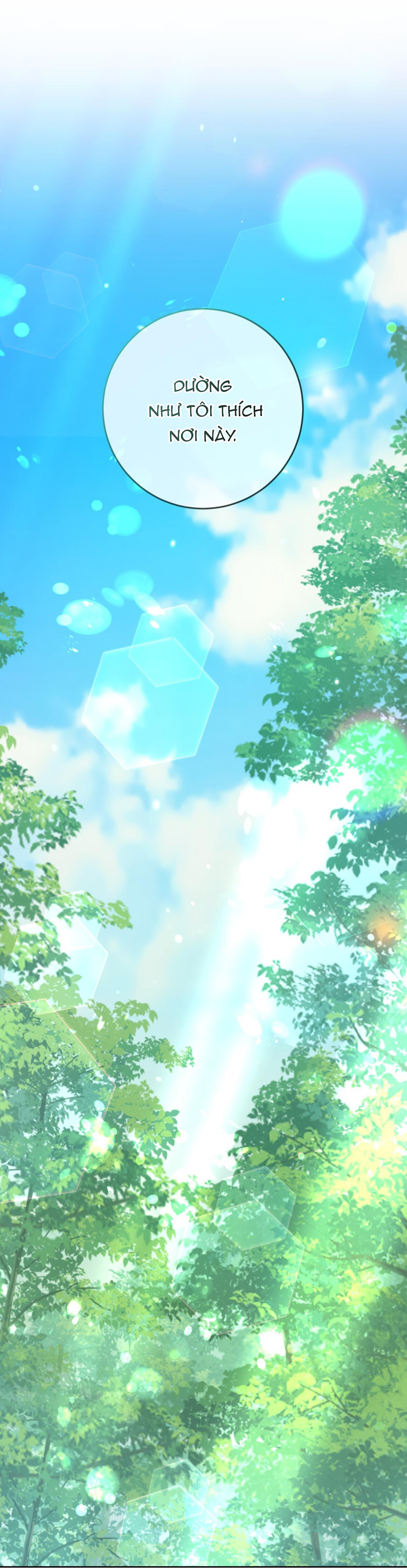 cánh rừng bình lặng chapter 2 61