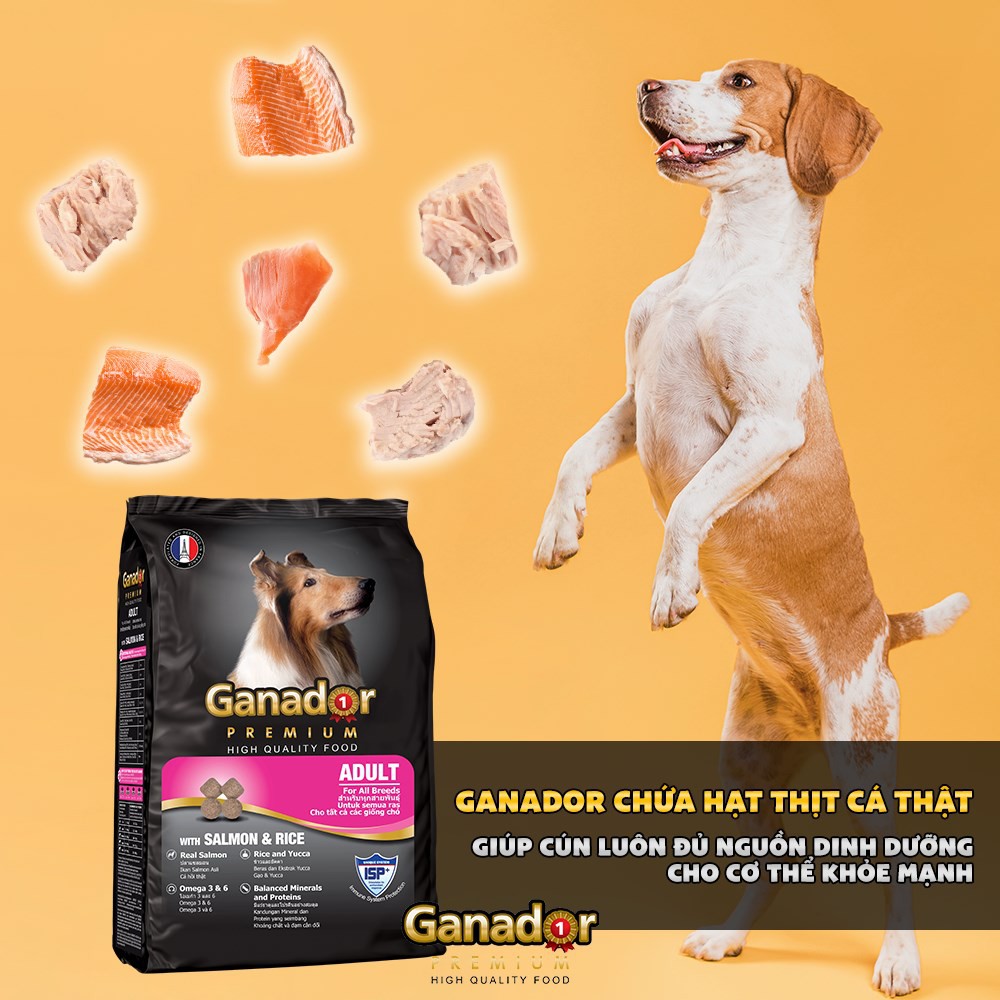Thức ăn Ganador cho chó trưởng thành vị cá hồi và gạo - Adult with Salmon & Rice 3kg