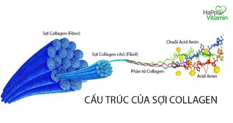 viên uống thực phẩm chức năng trắng da giảm nám từ bên trong của mỹ Spathion White Skin Pharmekal05