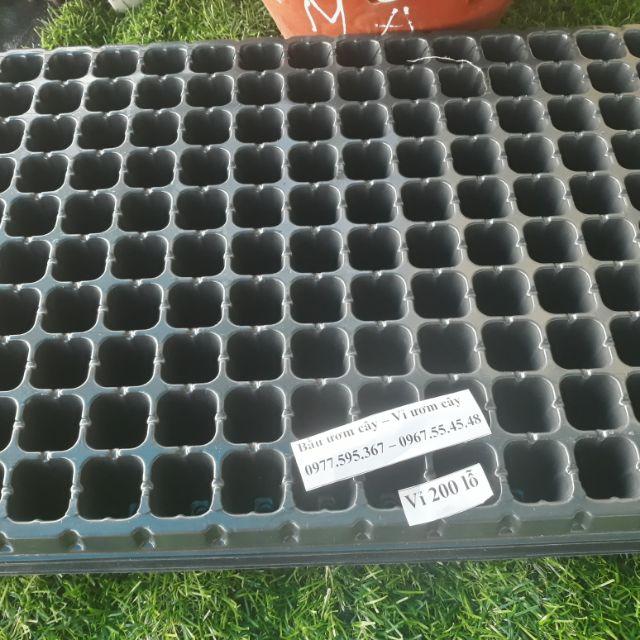 5 khay ươm hạt 200 lỗ
