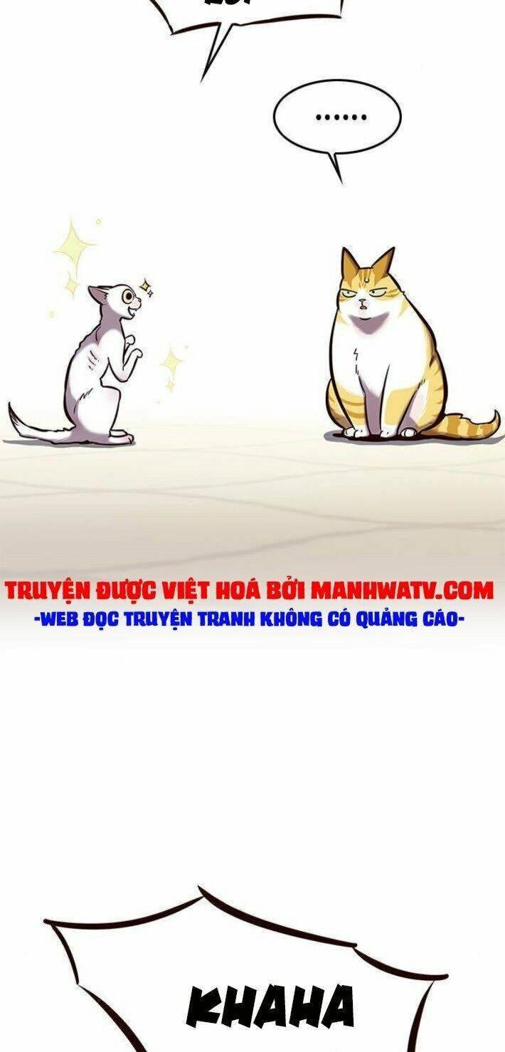 biến thân thành mèo chapter 141 64