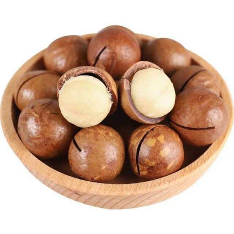 Cây Giống Mắc Ca cam kết chất lượng