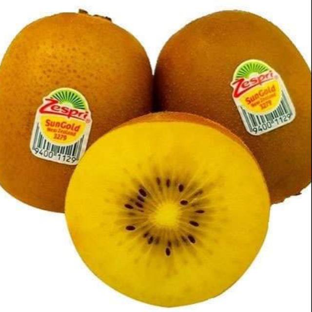 CÂY GIỐNG KIWI LEO GIÀN RUỘT VÀNG DÒNG QUẢ SỚM
