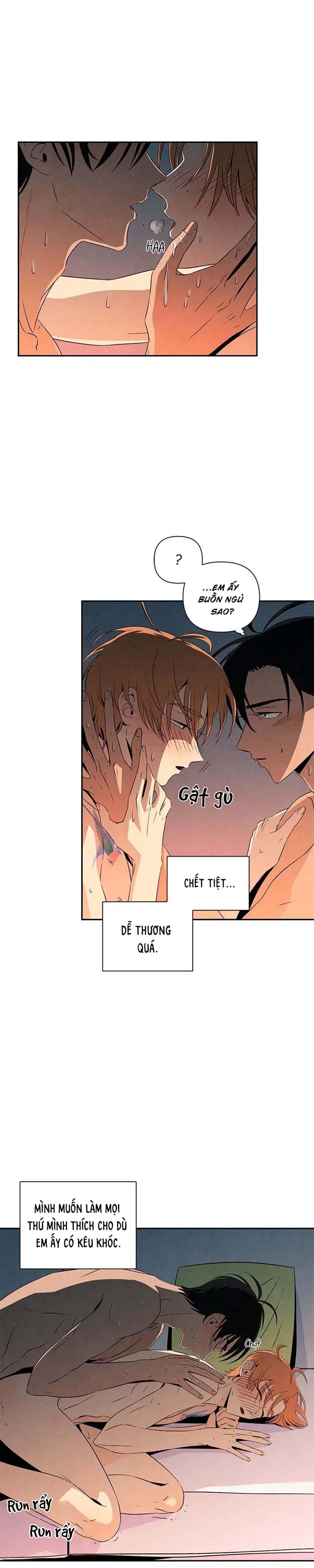 bona sort chapter 11 13