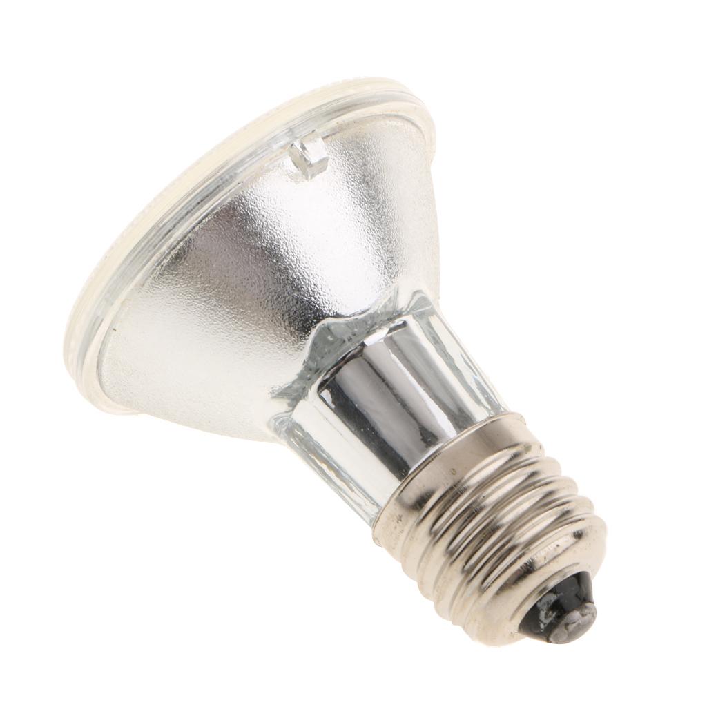 Đèn LED Sưởi Ấm Cho Bò Sát Với Chân E27