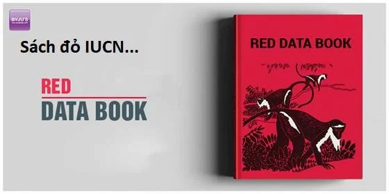 sự lụi tàn của usuzumi chapter 104 32