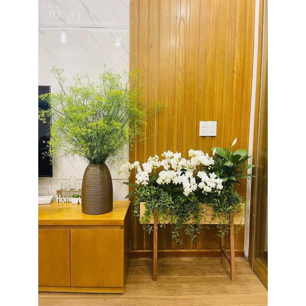 Chậu gỗ trồng cây cảnh, hoa cỏ trang trí trong nhà, kệ gỗ trồng cây ban công hình chữ nhật 75cm Flowermini CG-01