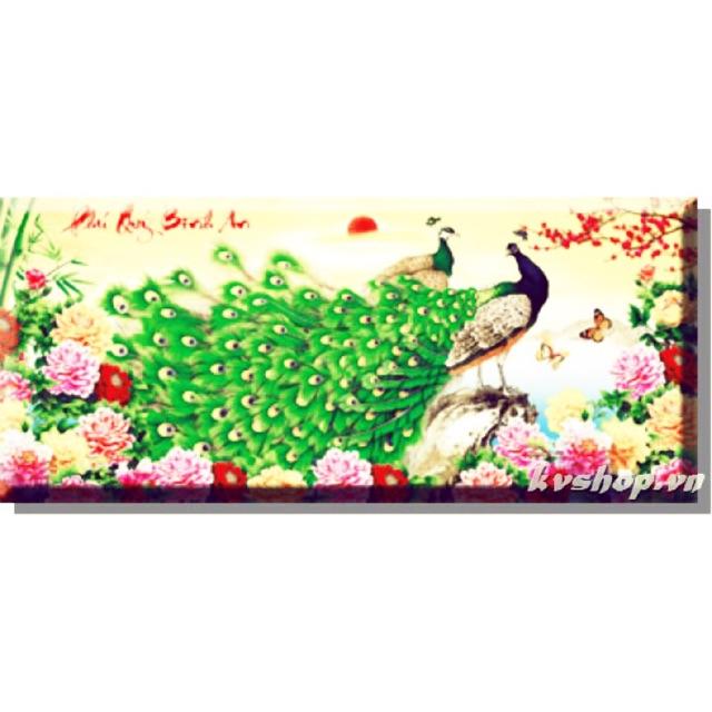 Tranh thêu chữ thập-Phú Quý Bình An-Khổng Tước Hoa Mẫu Đơn>X8008,chưa thêu