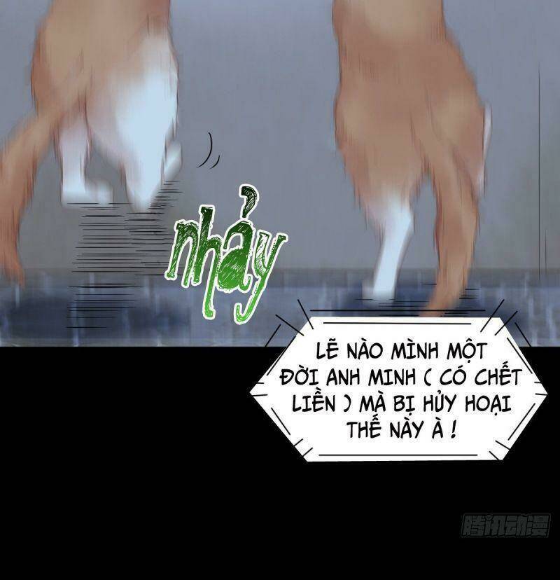 sát thủ vương phi không dễ chọc chapter 37 39