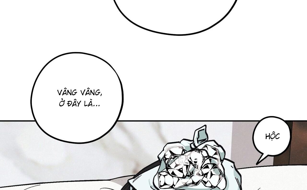 chàng dâu nhà họ kang chapter 31 161