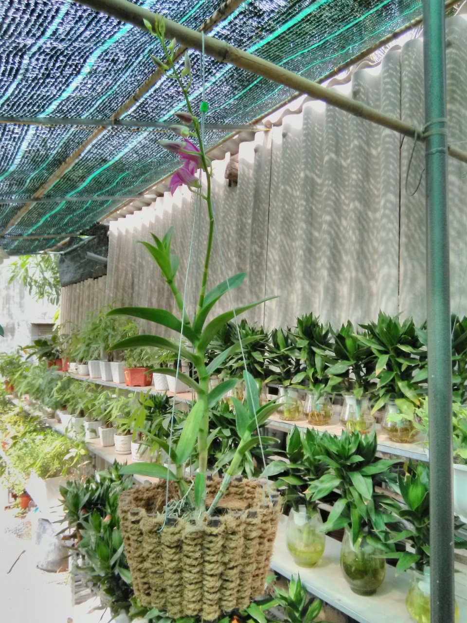DÂY THỪNG TRANG TRÍ GIỎ HOA, CHẬU CÂY CẢNH 5MM
