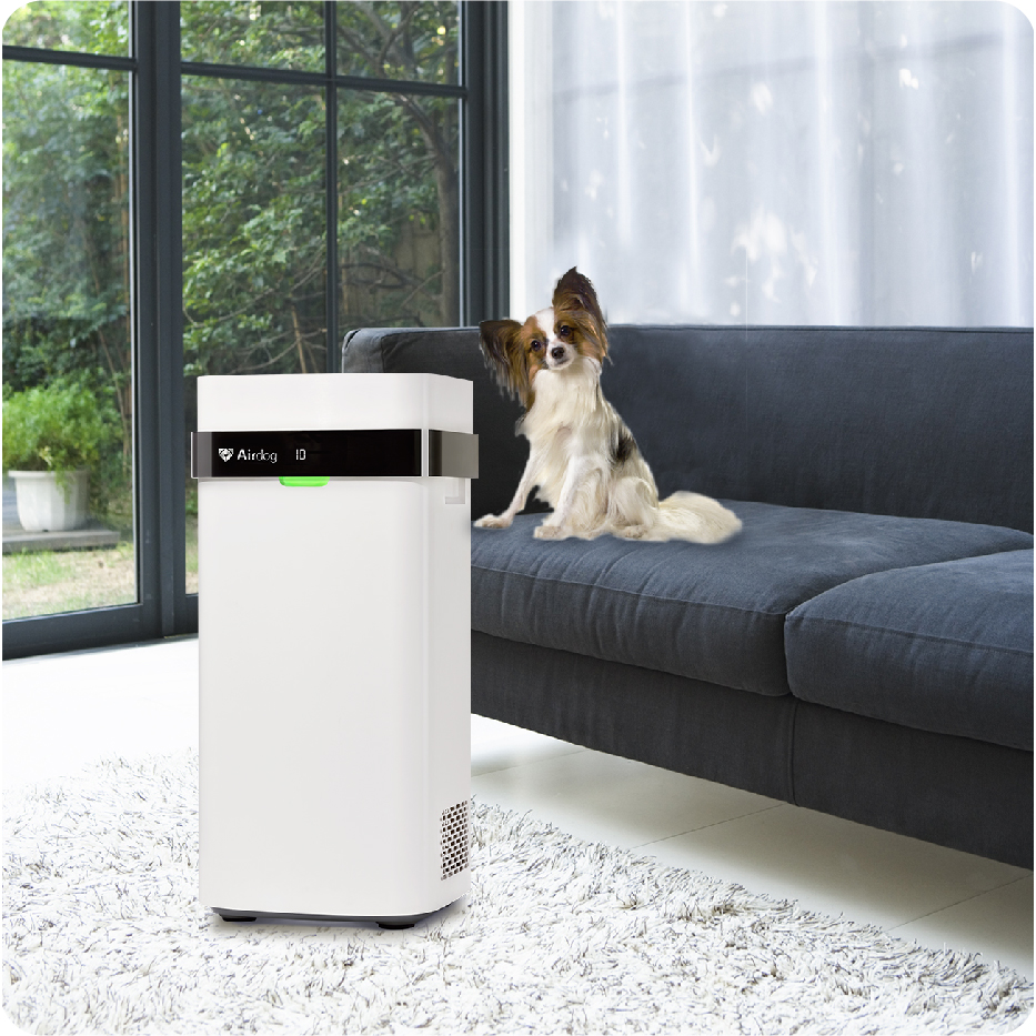 MÁY LỌC KHÔNG KHÍ GIA ĐÌNH AIRDOG X5 - PHÂN PHỐI CHÍNH HÃNG