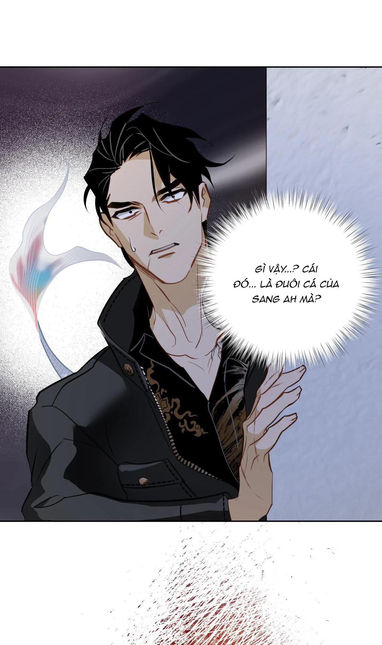 mỹ nhân ngư chapter 8 26