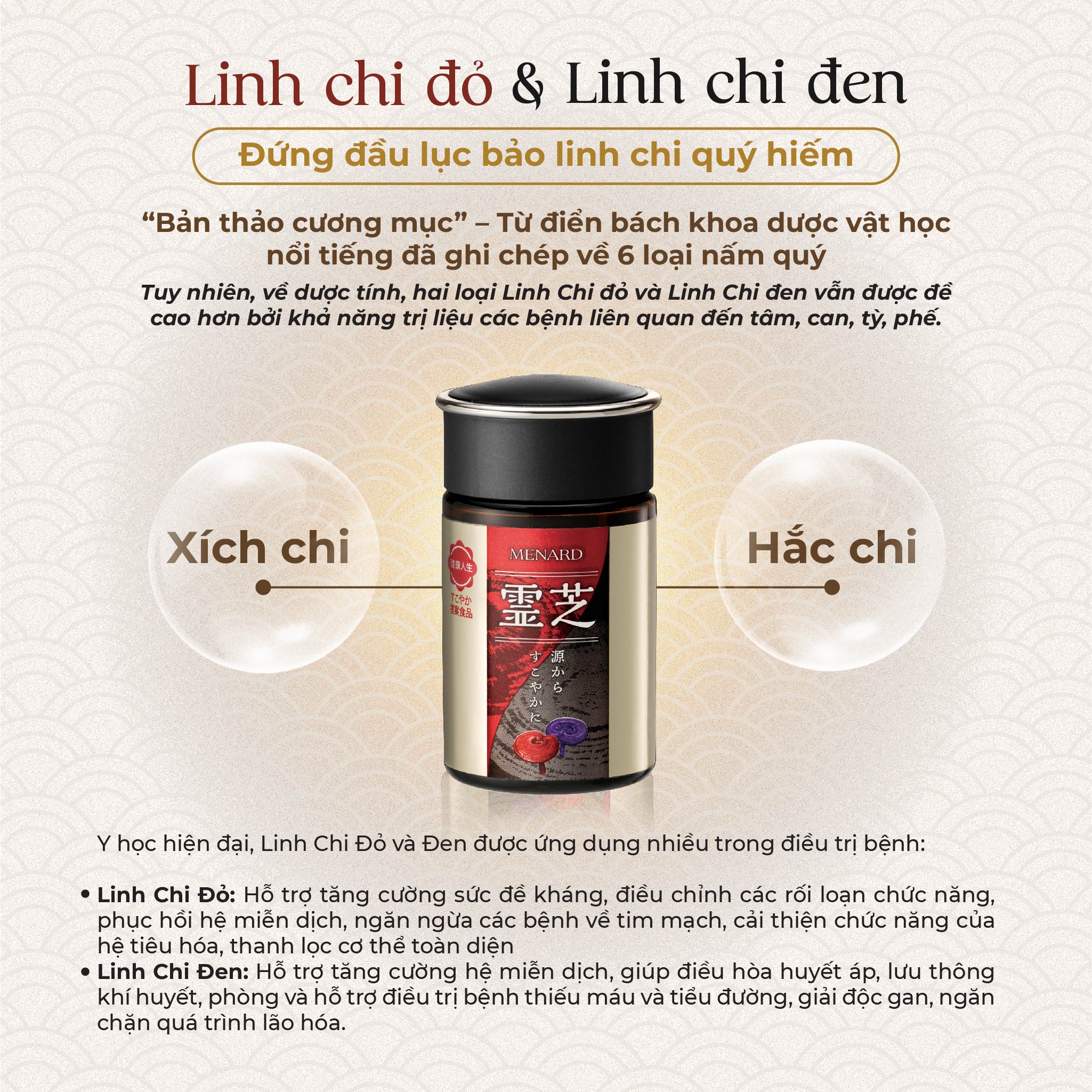 Combo 3 hộp Viên Uống Linh Chi Menard Reishi Tăng Đề Kháng (3 hộp x 50 viên)