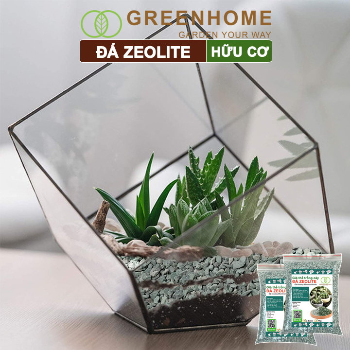 Đá zeolite Greenhome, size 3-6mm, rãi mặt, giá thể, sen đá, xương rồng, hồ thuỷ sinh