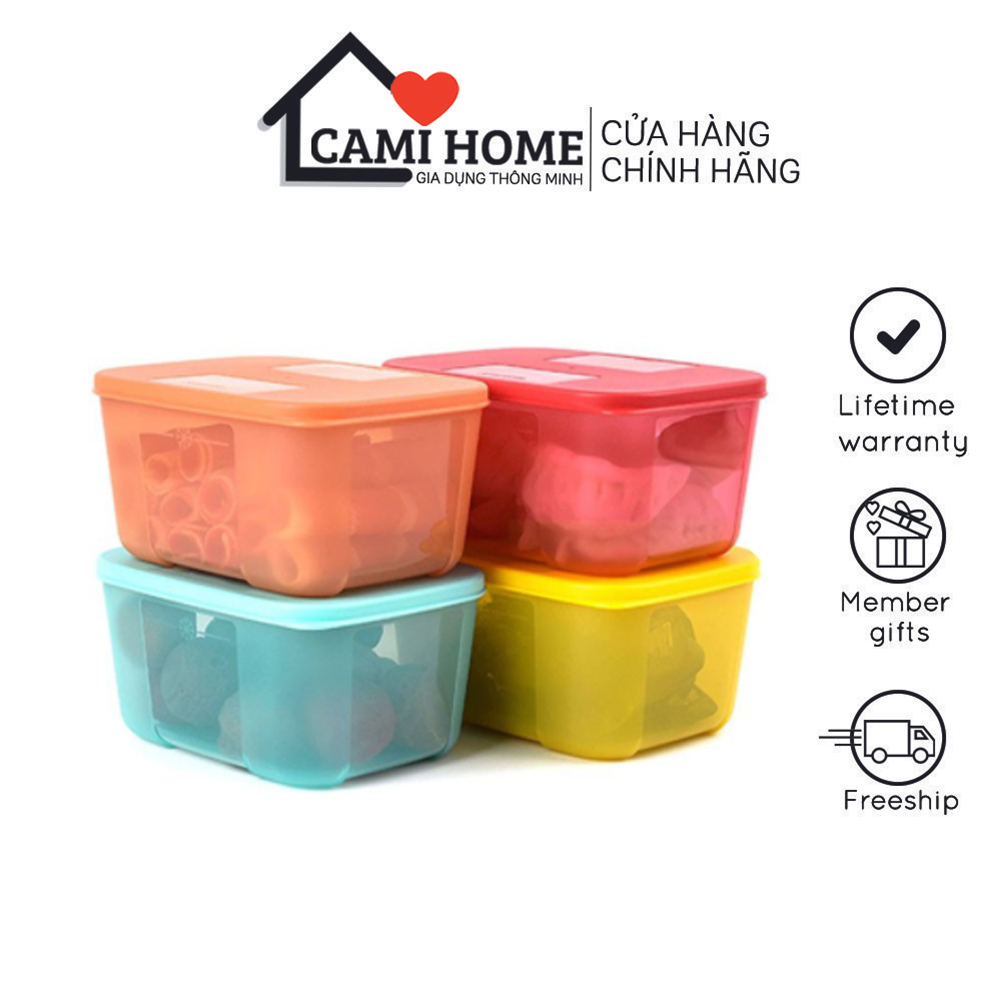 Bộ Hộp Trữ Đông Freezermate Rainbow Tupperware, Hộp Bảo Quản Thực Phẩm, Nhựa Nguyên Sinh An Toàn