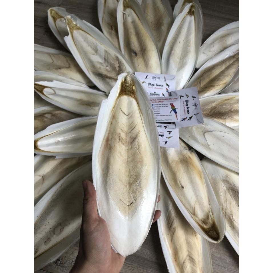 1kg Nan mực dùng cho vẹt , yến , các dòng chim finch,...