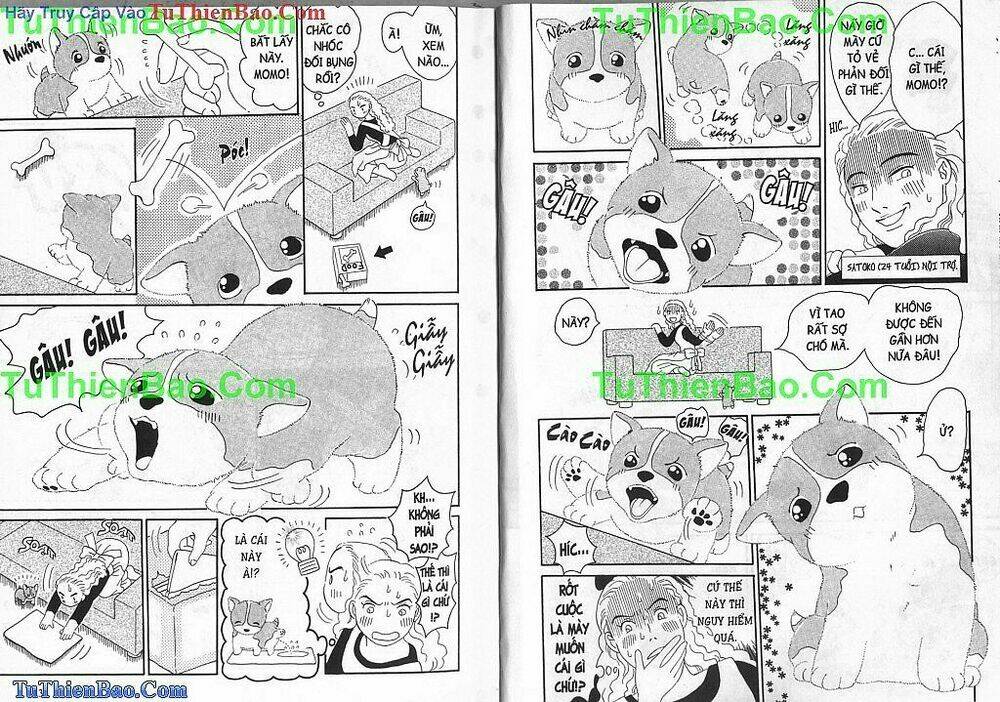 chó con mo mo chapter 1 7