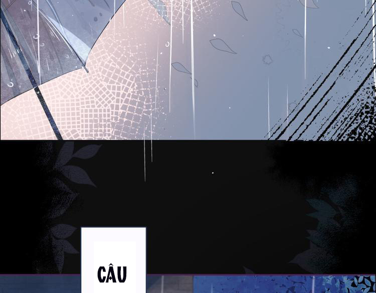 nỗi buồn của hoa cẩm tú cầu chapter 0 36