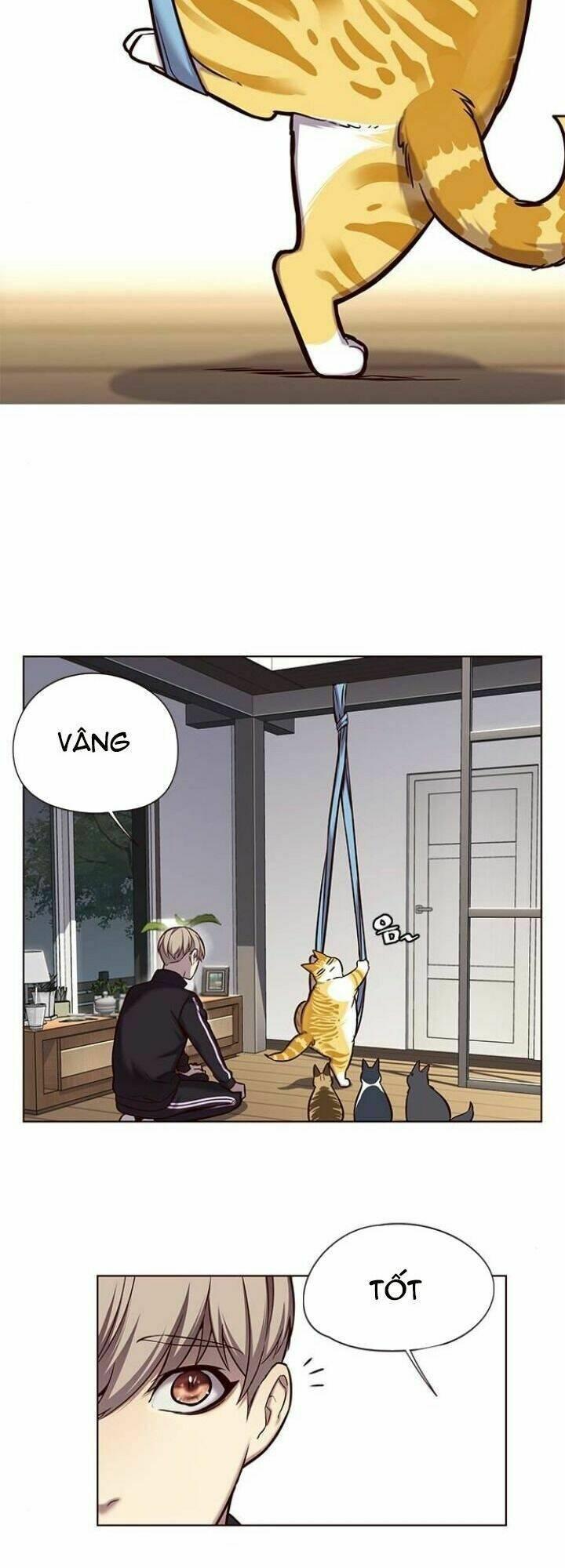 biến thân thành mèo chapter 118 6