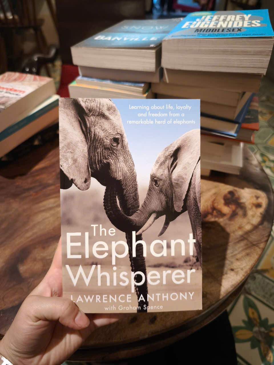 Sách - the Elephant Whisperer by Lawrence Anthony - Sách Lịch sử tiếng Anh/ Nonfiction in English - Biography