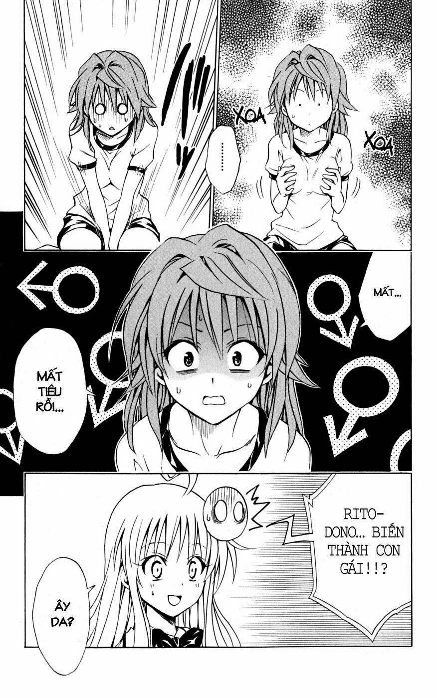 bọn tớ thích cậu! rito chapter 100 22