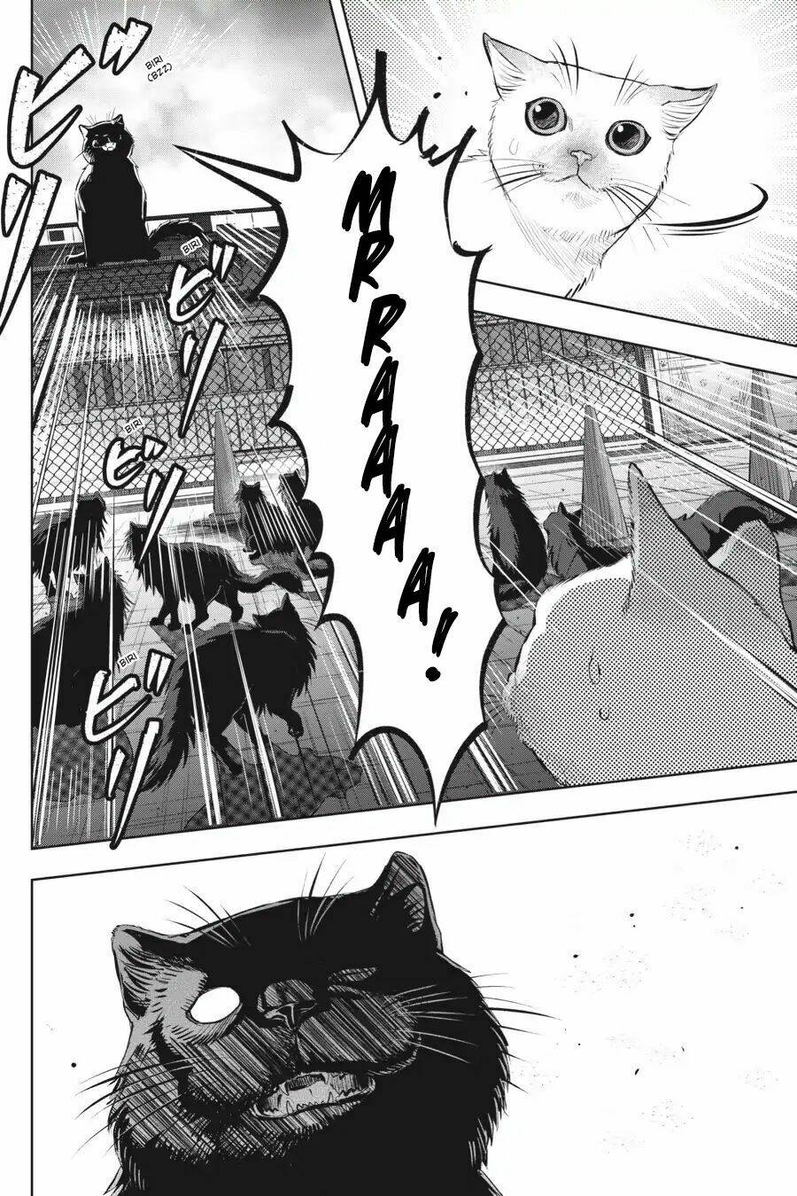 nyankees chapter 6 6