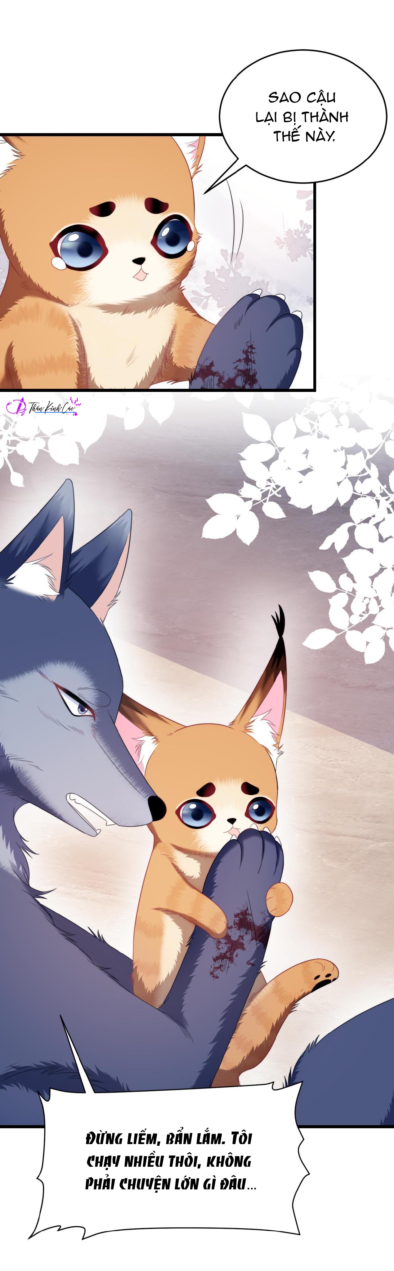 mèo hoang nhỏ của học bá quá chọc người rồi chapter 35 8