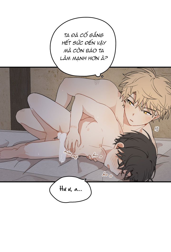 đường hoa liên kiều rơi chapter 17 62