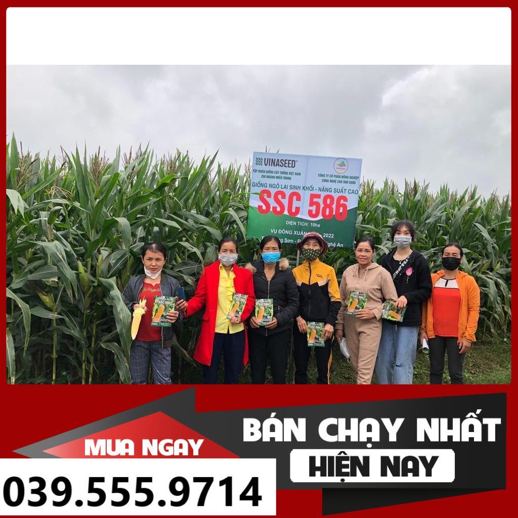 HẠT GIỐNG NGÔ SINH KHỐI SSC586 1KG - GIỐNG CHUẨN SIÊU NĂNG SUẤT