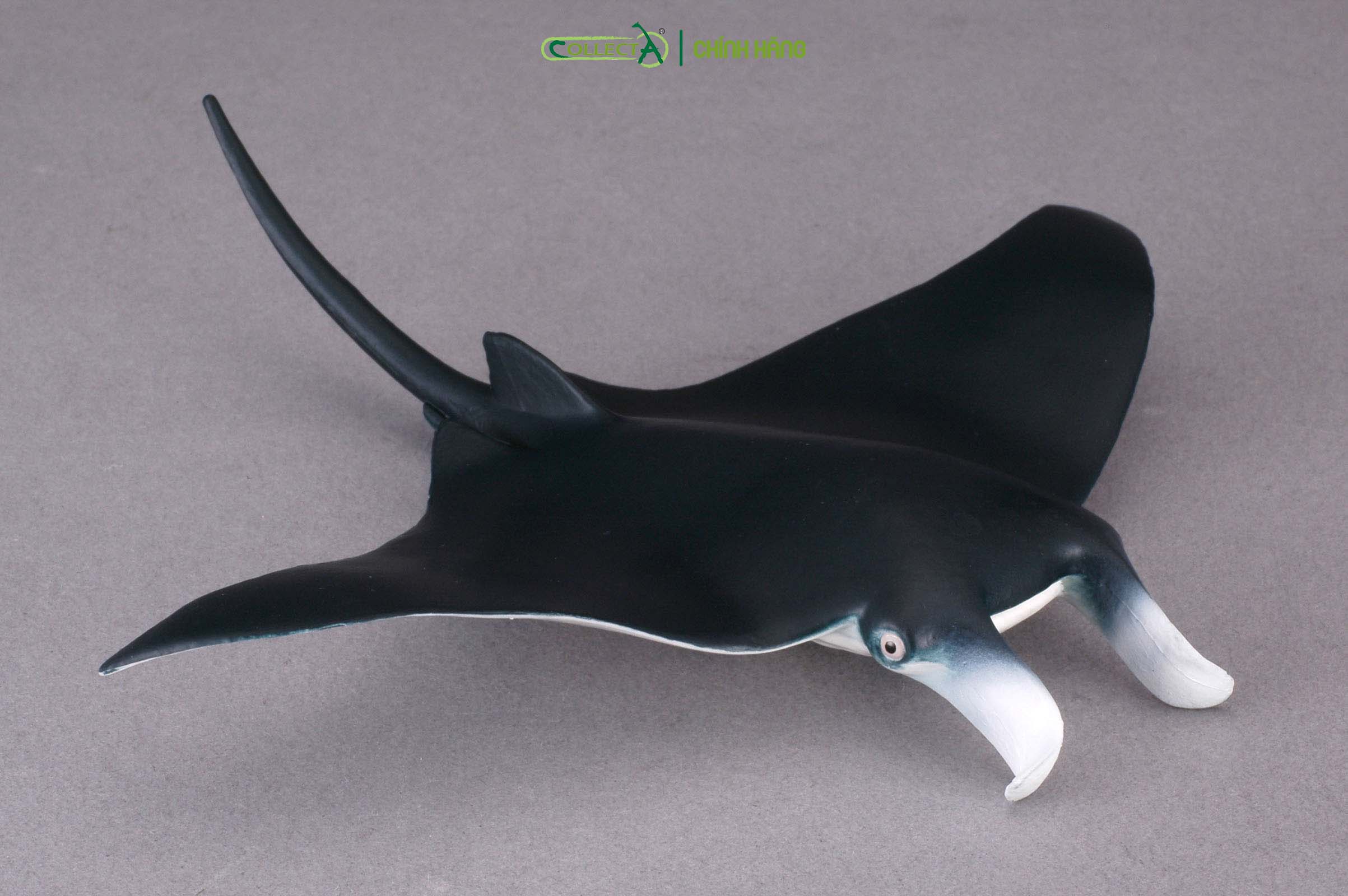 Mô hình thu nhỏ: Cá Đuối - Manta Ray, hiệu: CollectA, mã HS 9652010[88040] -  Chất liệu an toàn cho trẻ - Hàng chính hãng