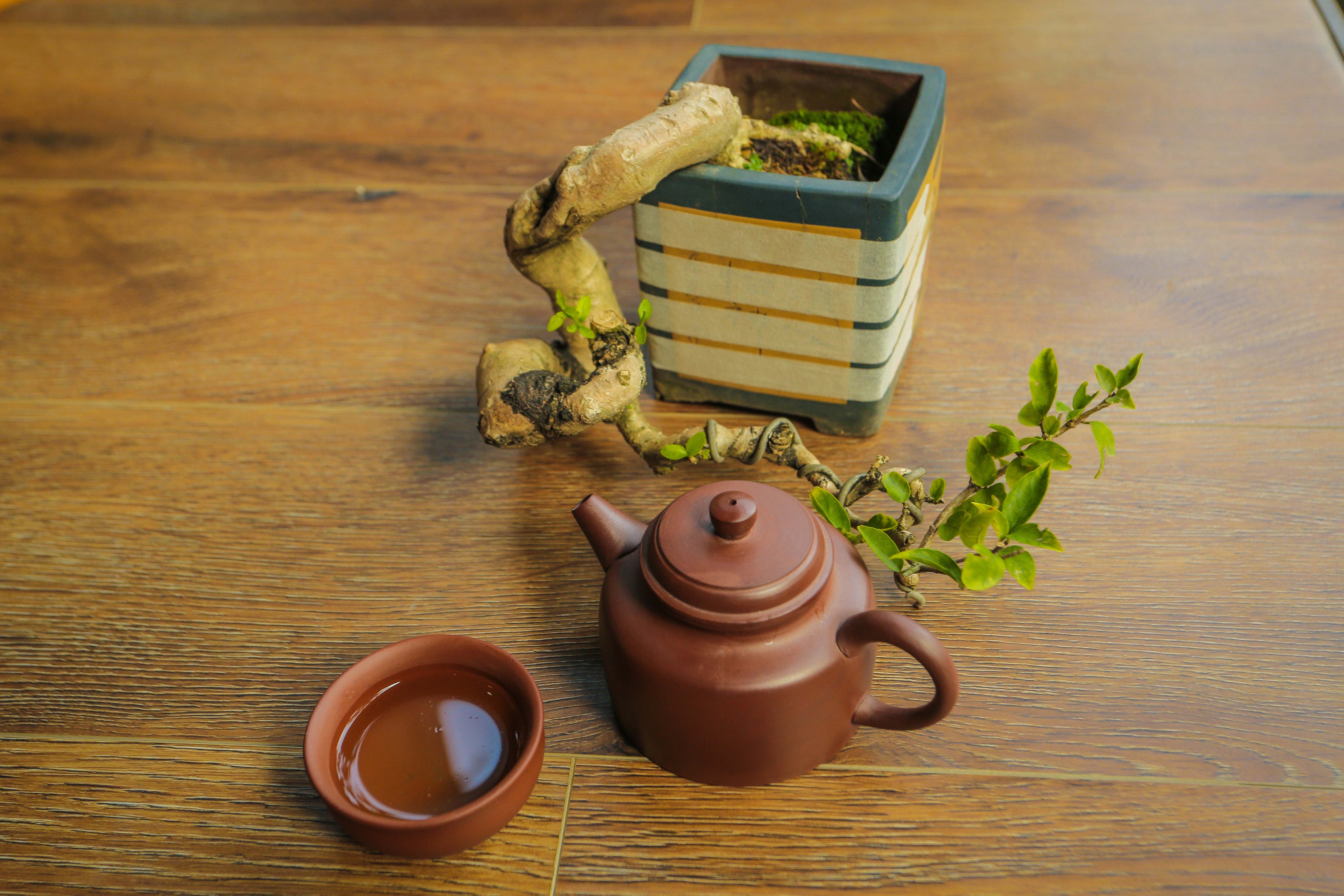 Bộ ấm gốm sứ - Bộ trà đất nung - Bộ ấm trà An Thổ Túc - Bộ ấm trà Nồi Đất