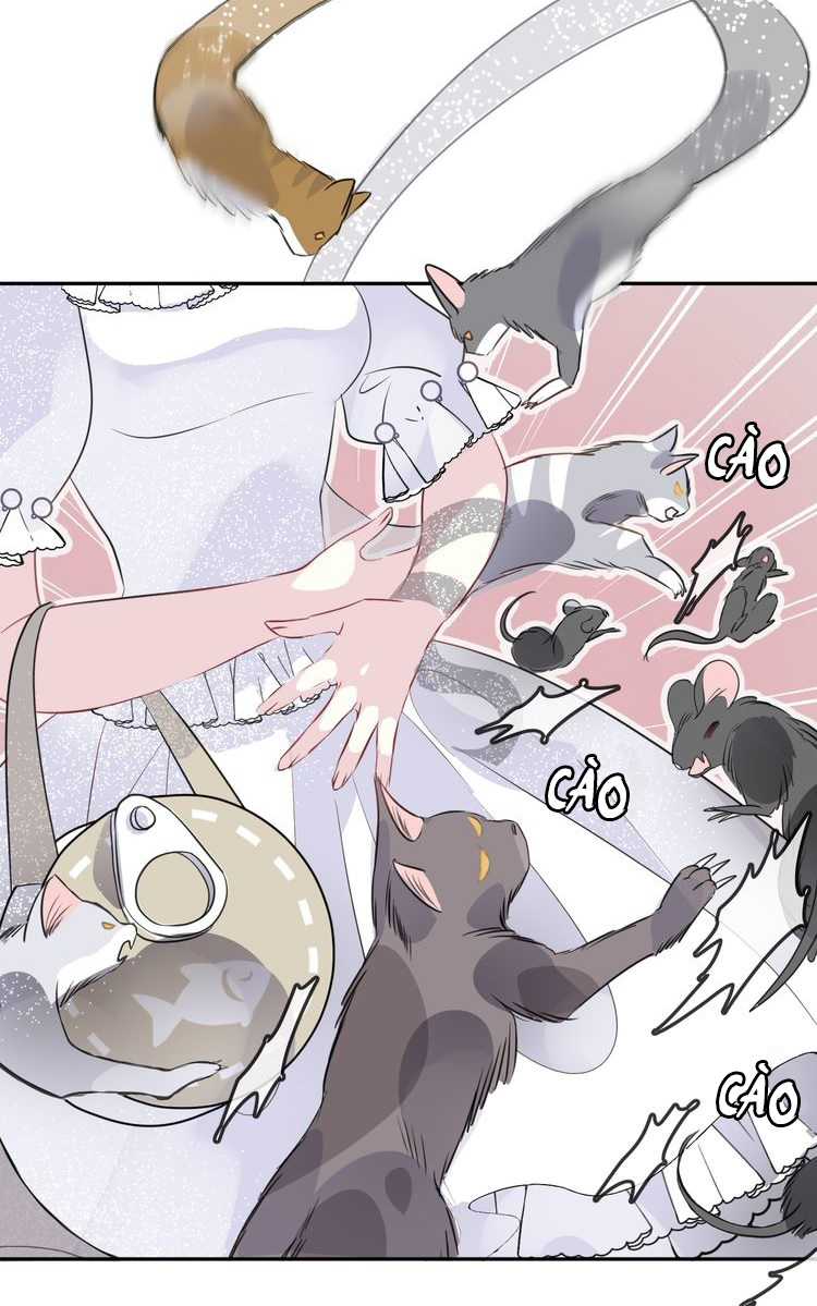 bộ váy của nàng tiên cá chapter 10 23