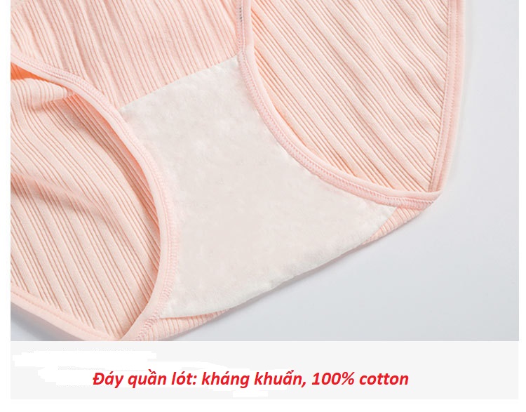 Quần lót bầu cotton cạp thấp thoáng khí thoải mái, thời trang dành cho phụ nữ mang thai