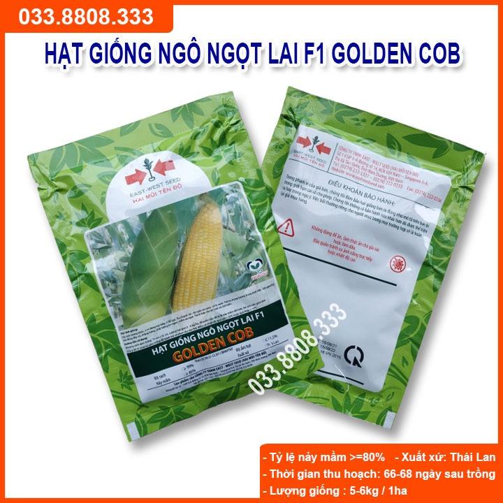 Hạt Giống Ngô Ngọt Lai F1 GOLDEN COB 500gram- Bắp Ngô To Đều Hạt