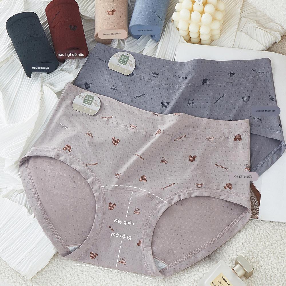 Combo 5 quần lót nữ thun lạnh thông hơi lưng cao 975 – Đem lại sự thoải mái và tự tin mỗi ngày