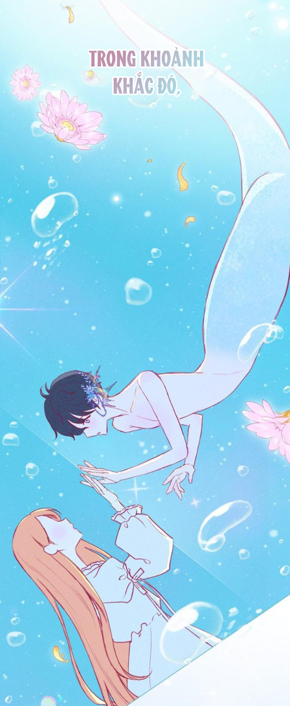 chàng tiên cá mắc kẹt trong hồ của tôi chapter 2.1 11